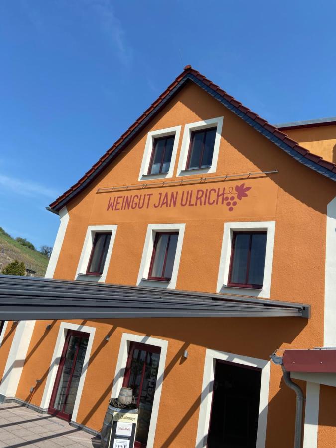 ホテル Weingut Jan Ulrich Diesbar-Seusslitz エクステリア 写真